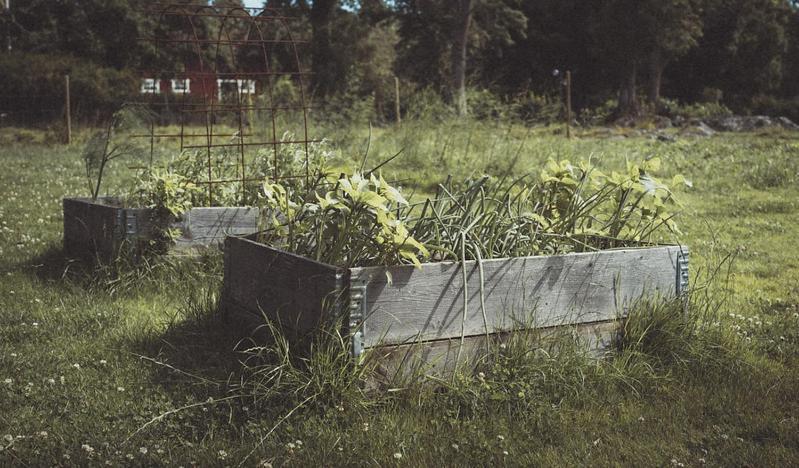 Folk Och Fae Hotel Grisslehamn Exterior photo